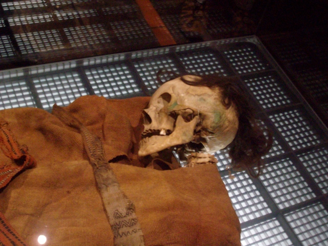 La Casa de la Cultura