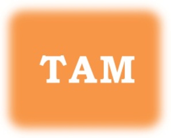 TA Modules: Title III, Part A: Language Instruction for Limited English Proficient Students (GRANTS MANAGEMENT SESSION)