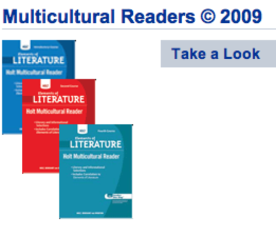 Multicultural Reading Workbooks created for high school students