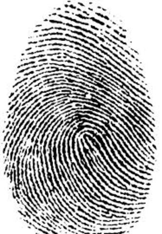 Finger Prints
