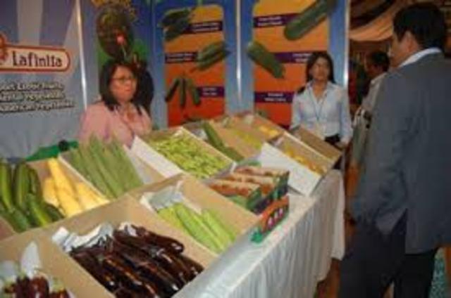 El rey Felipe II de España expandió el nombre propio de la ciudad a “La Muy Noble y Muy Leal Ciudad de Santiago de los Caballeros de Guatemala”.