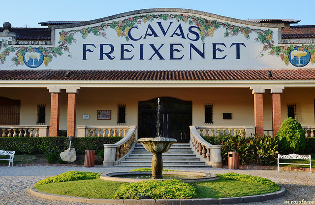 Estabilització de l'Empresa