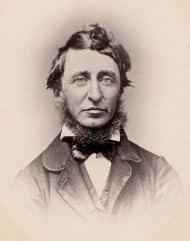 Thoreau's experience at Walden Pond