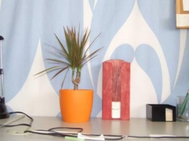 Gyümölcstárhely tavaszítás