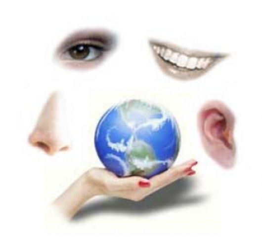 Teoría Matemática de la Información