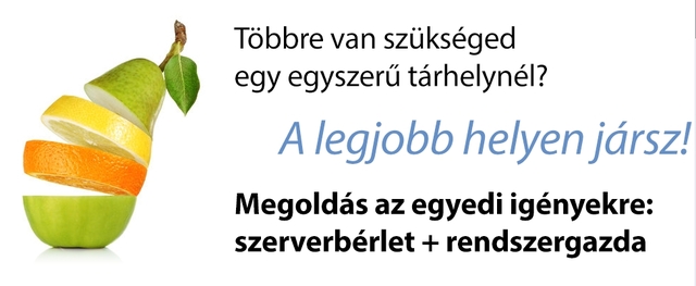 Elindul a VPS és a szerverbérlés
