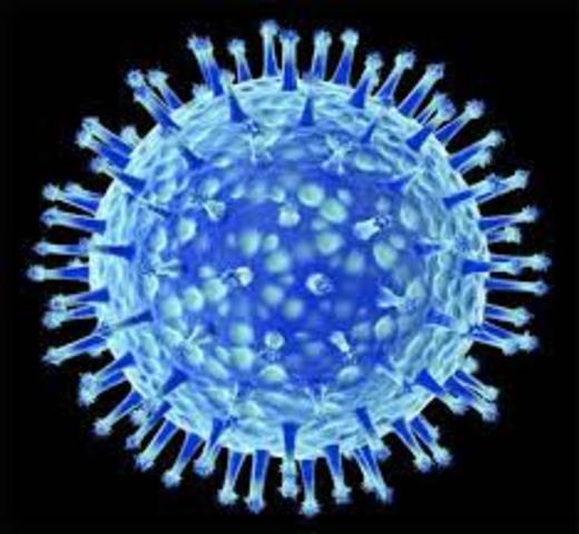 Discovery of virus as a vector