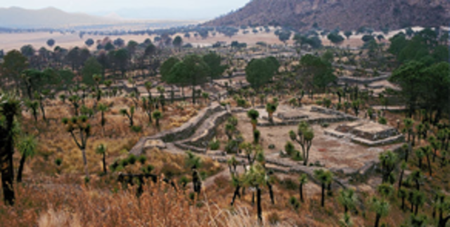 Decadencia de Cantona