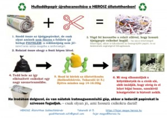 Gyümölcsös hosszúmetélt