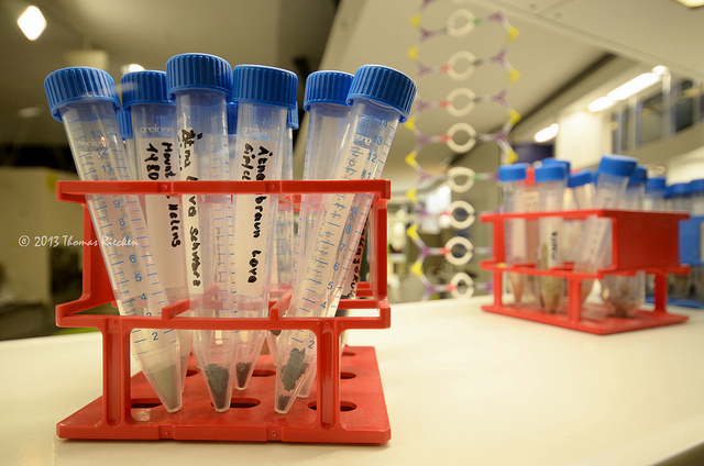 3rd Science Fair Meeting