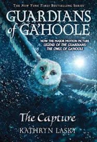 Guardians of Ga'Hoole, The Capture