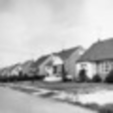 Suburbs became really popular