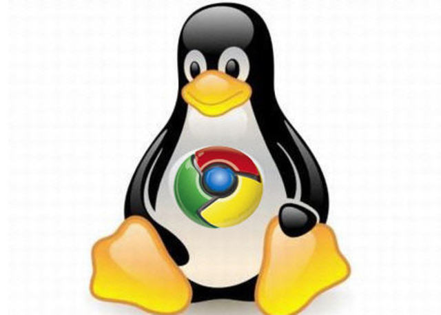 Versión 28, Google chrome para Linux