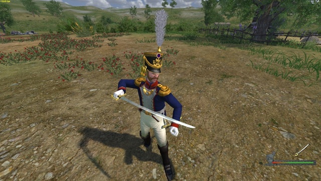 Succesor of the throne