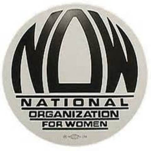 National Organization for Women Formed (NOW)