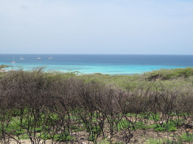 Childhood: First Time At The Ocean