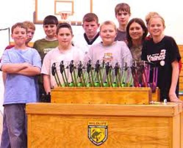 What other significant insight(s) have you gained and how will this insight impact your personal/professional life?