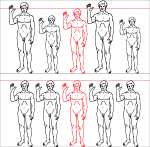 Creación diversos procedimientos matemáticos