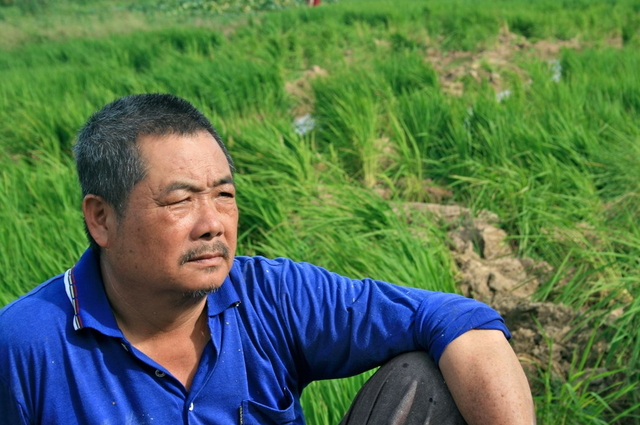 苗栗縣府動用警力與怪手封路毀田