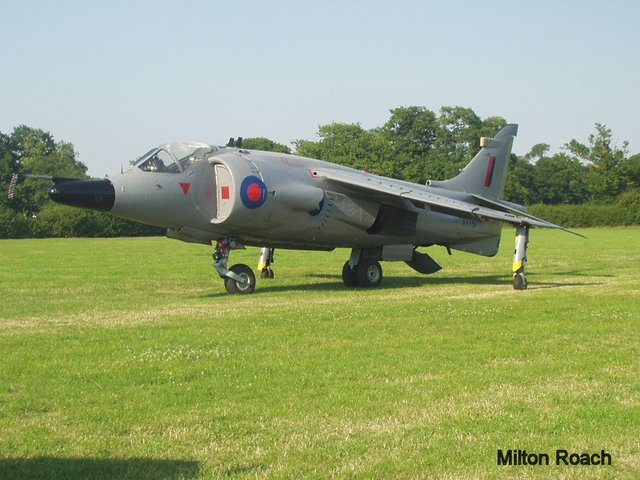 The Harrier's Approach
