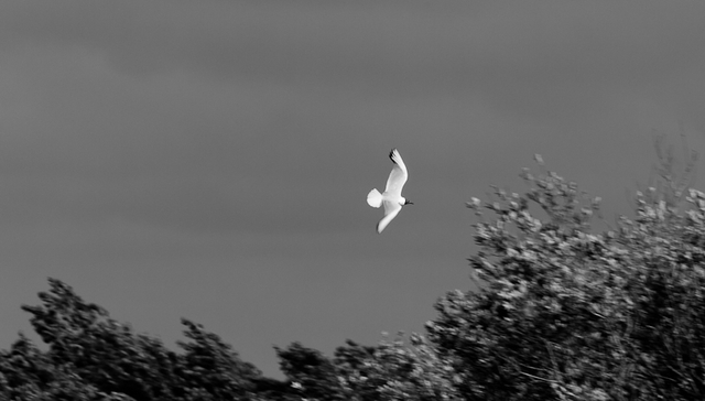 Soirée contée avec JM François - 17h