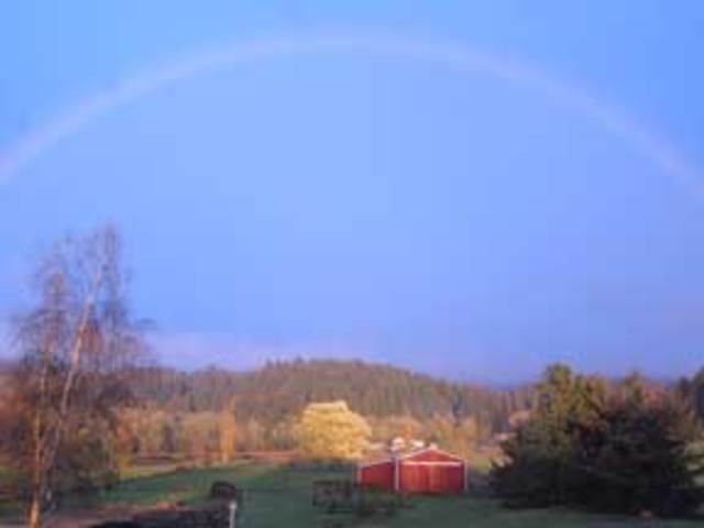 Pilgrims Arrive on Plymouth Rock