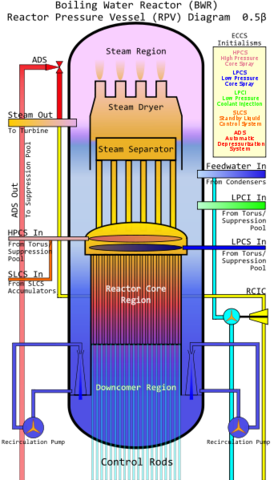 Fukushima Nuclear Disaster