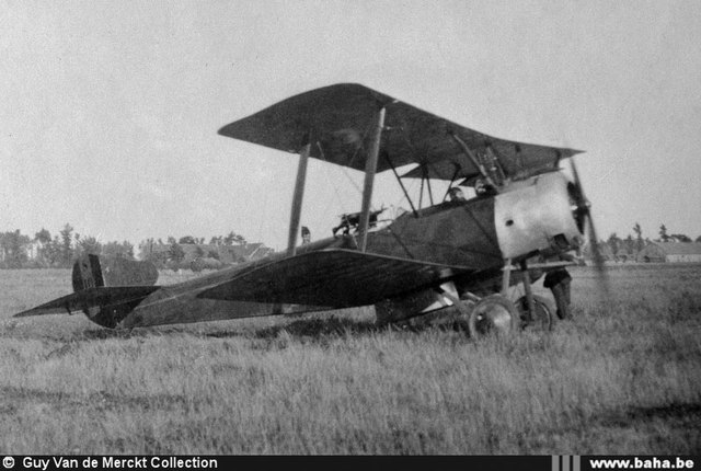 Sopwith Strutter