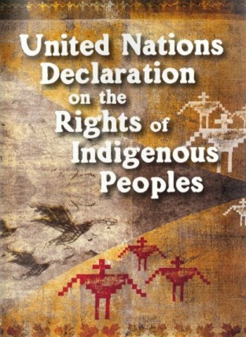 Canada signs U.N. declaration of rights of indigenous peoples