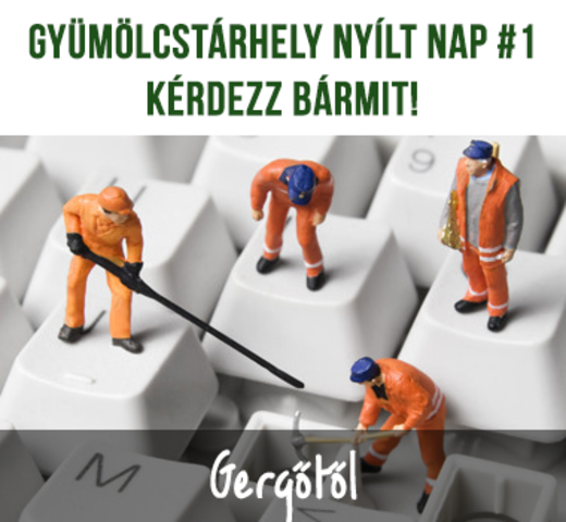 Technikai ügyfélszolgálatos felvételi, nyílt nap 2.