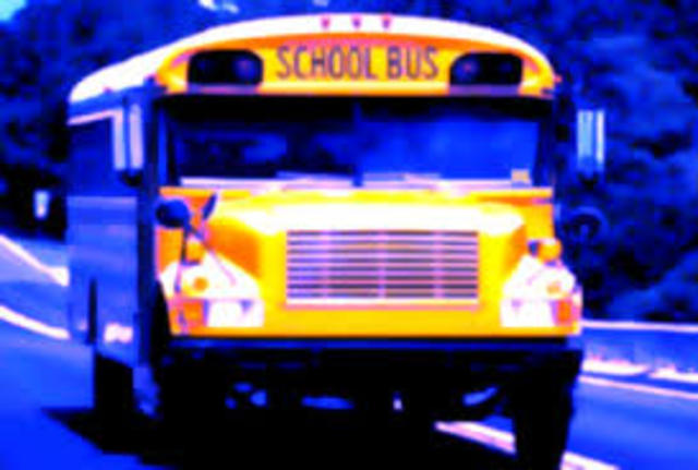 All states have laws providing funds for transporting children to school