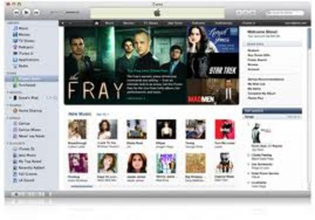 The iTunes Store