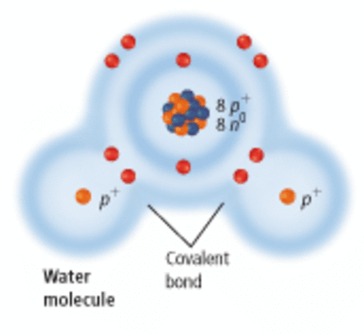Chemistry in Biology!
