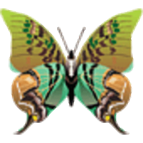 One year and Three Year Re-evaluations