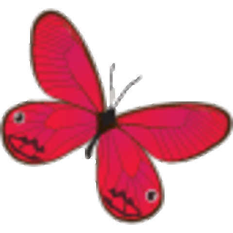 Response to Intervention/ IDEA 2004