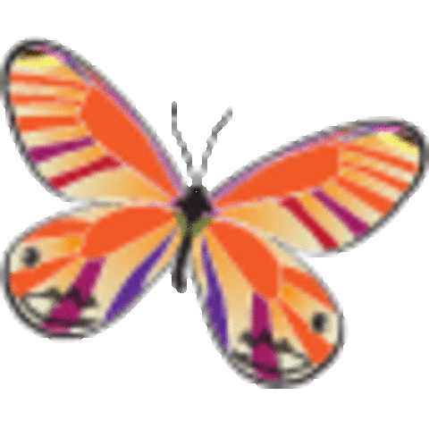 IDEA 2004, Child Find