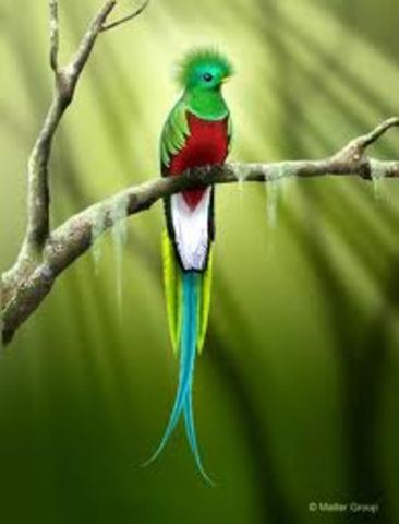 El quetzal de jade