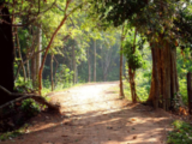 Started Building Road System