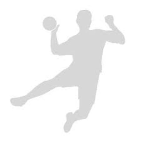 Gründung einer Handballabteilung