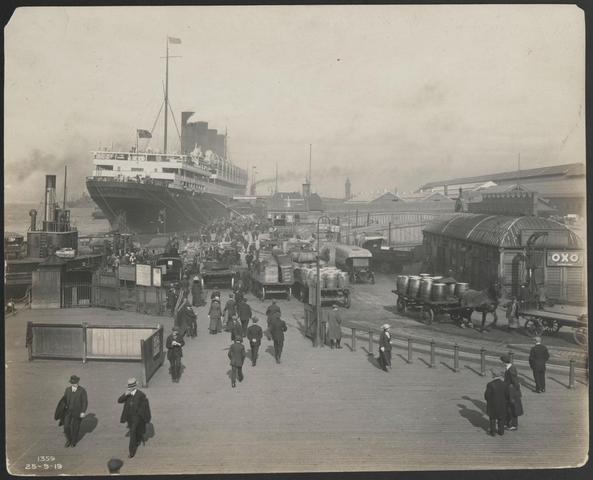 Literature in the Cities