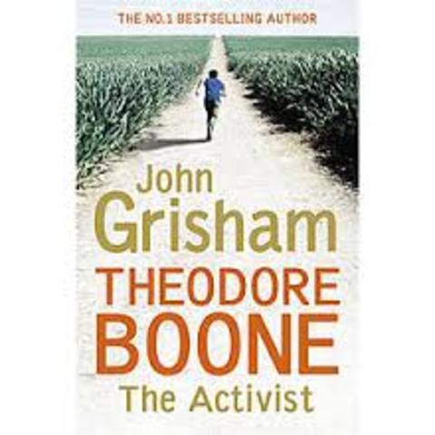 Theodore Boone: The Activist