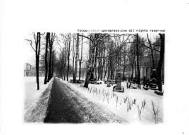 The Cabin in the Woods