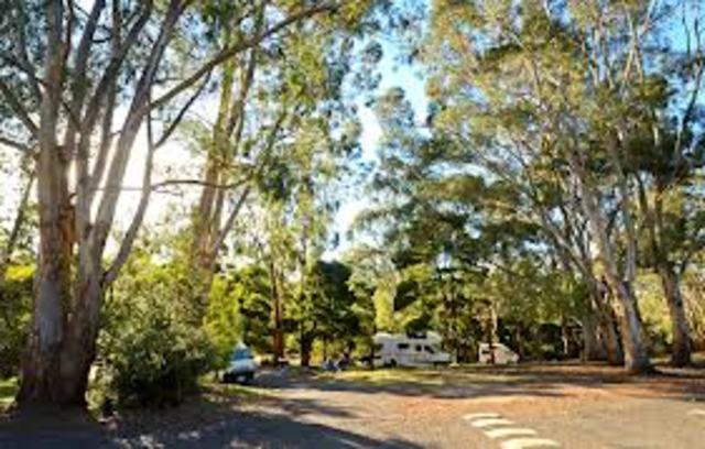 Bryant drives to Park entrance killing 3 more people. 1.40pm