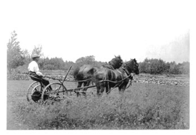 Straight/ Pure Photography Movement