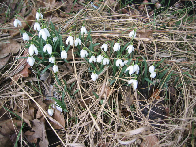 Sovjet ud af Afghanistan og Murens fald