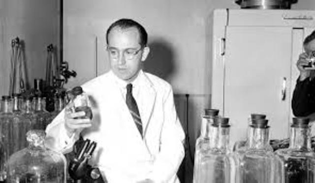 Salk Begins early Polio Vaccine Tests