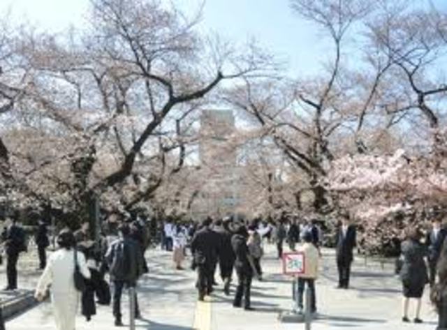 Kinki University admission