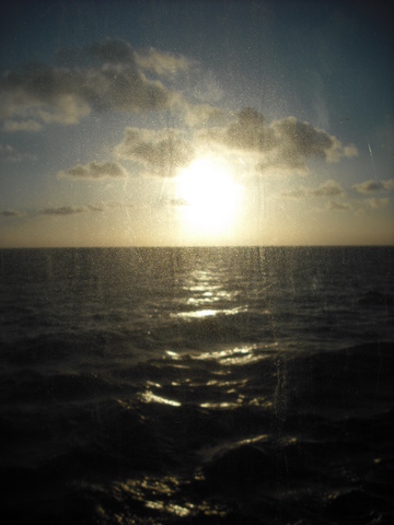 Senior Trip - Cruise - Psychosocial