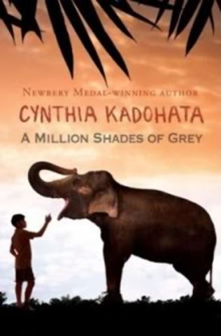 A million shades of gray by Cynthia Kadahata