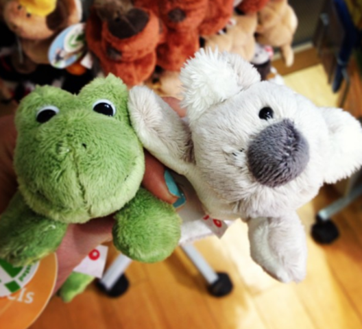 The frog and the koala.